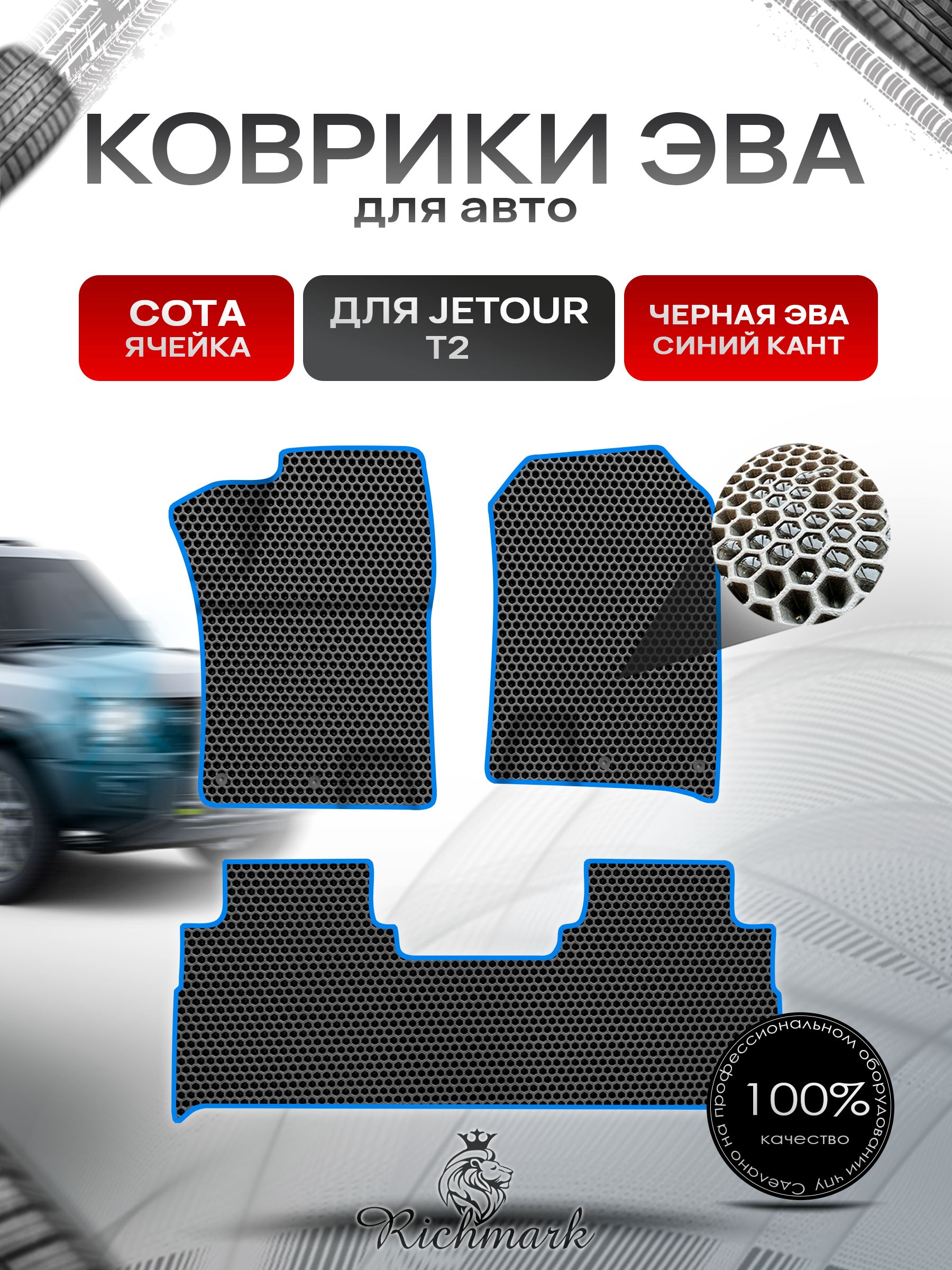 Коврики ЭВА СОТА для автомобиля Jetour T2 2023+ / Джетур Т2 Чёрный С Синим Кантом. Ричмарк — фото 1
