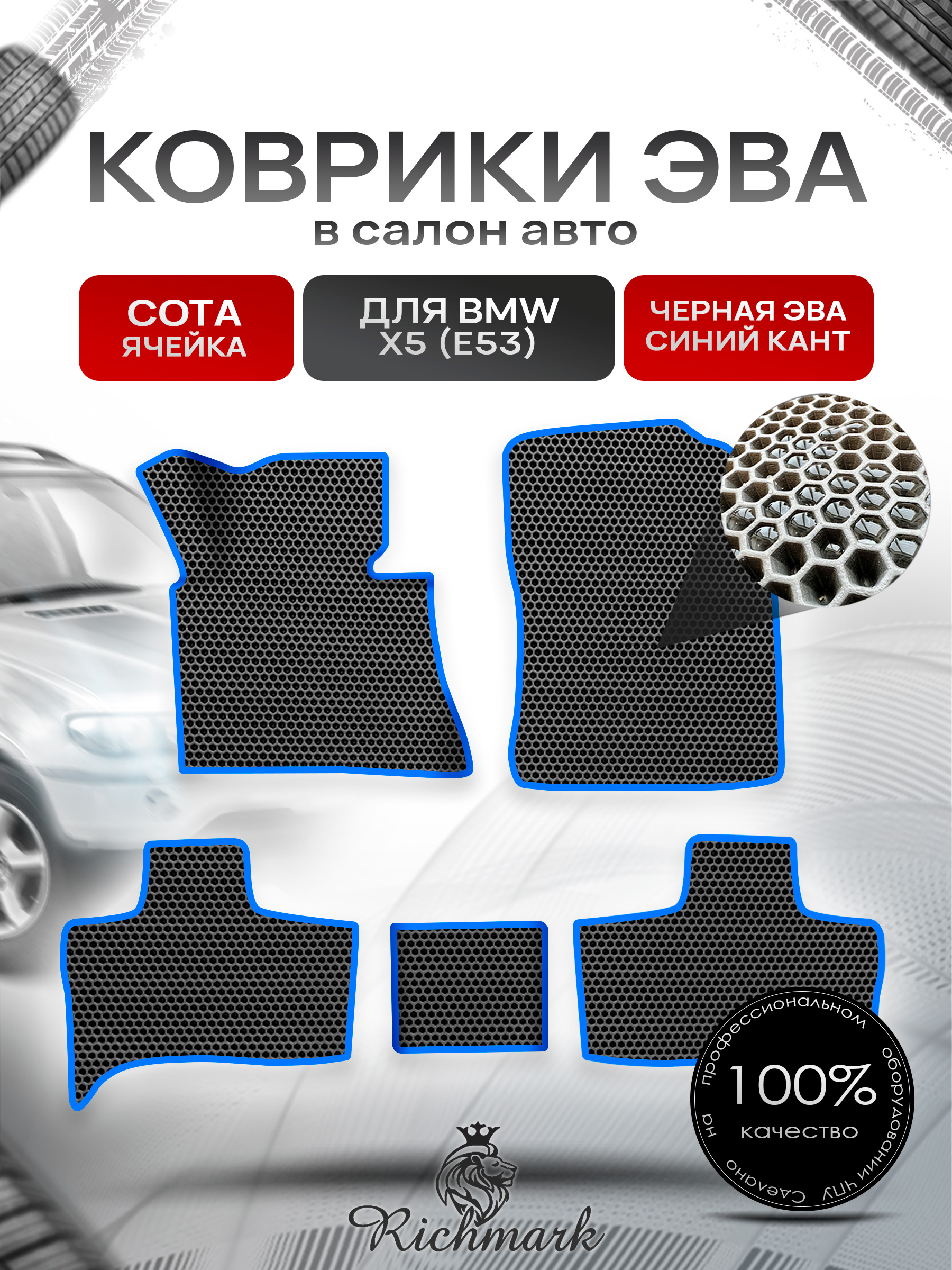 Коврики ЭВА СОТА для авто Бмв / BMW X5 (E53) 1999-2006 Г.В. Чёрный с Синим кантом. Ричмарк — фото 1