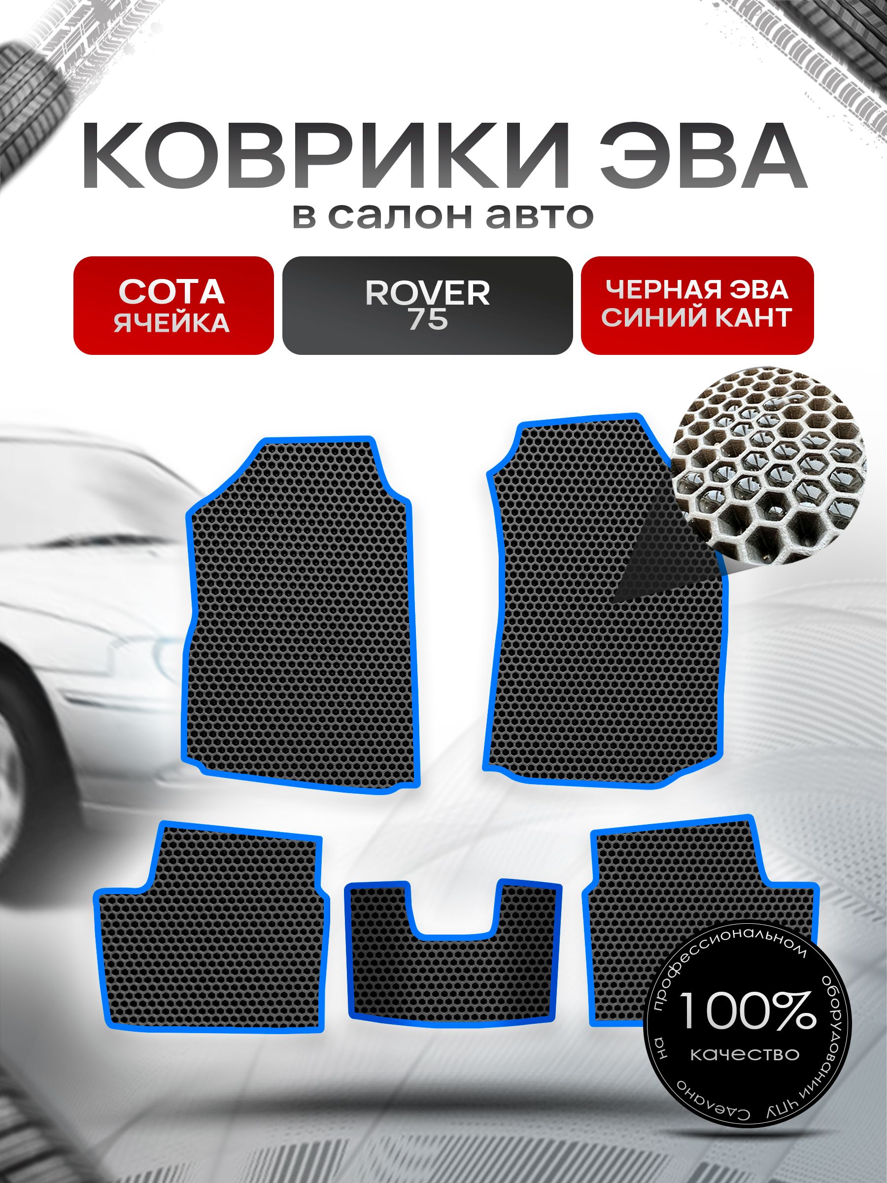 Коврики ЭВА СОТА для авто Ровер 75 / Rover 75 1999 - 2005 Чёрный С Синим Кантом. Ричмарк — фото 1