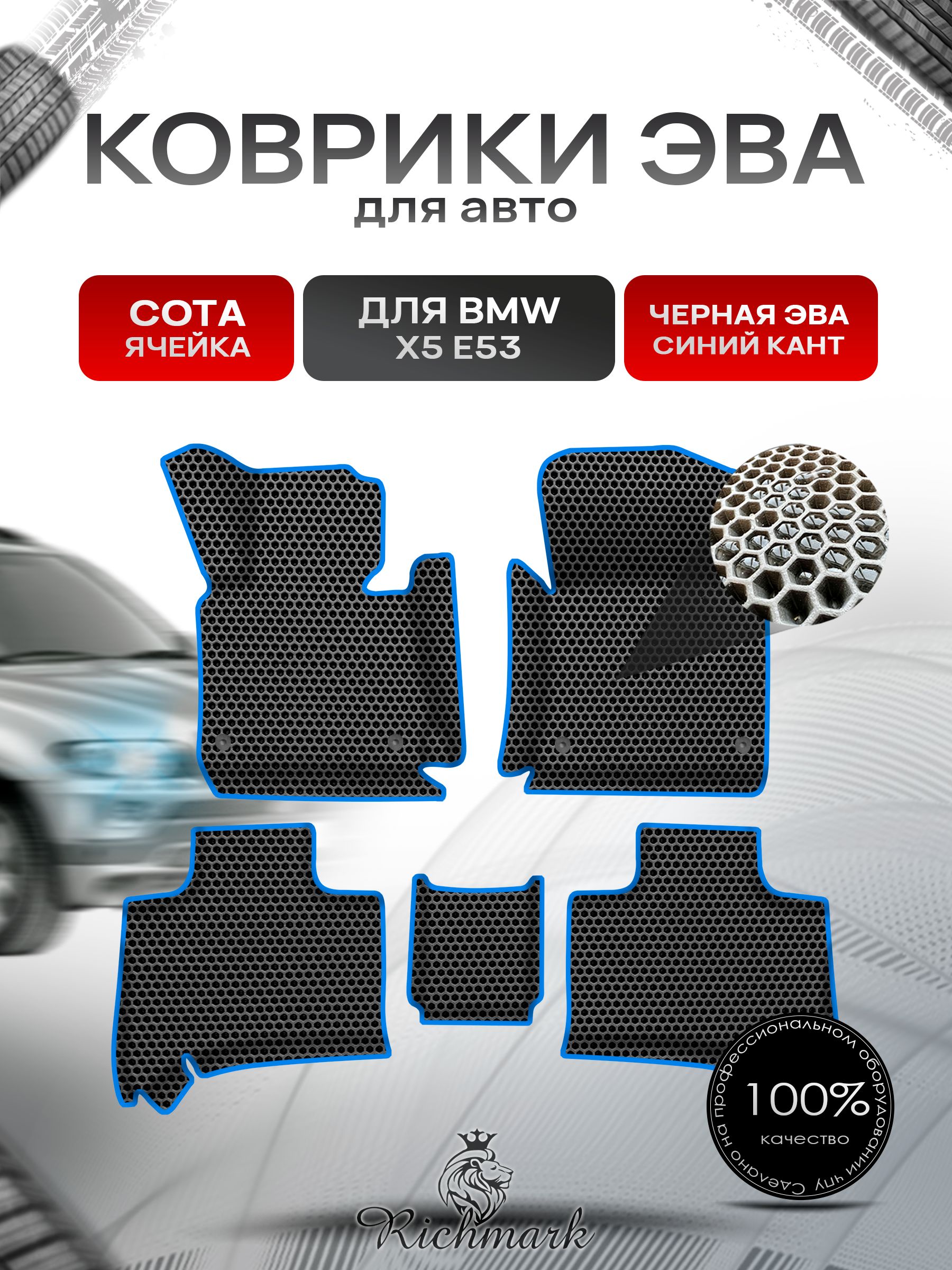 Коврики ЭВА СОТА для авто с бортами BMW X5 E53 1999-2006 / БМВ Е53 Чёрный с Синим кантом. Ричмарк — фото 1