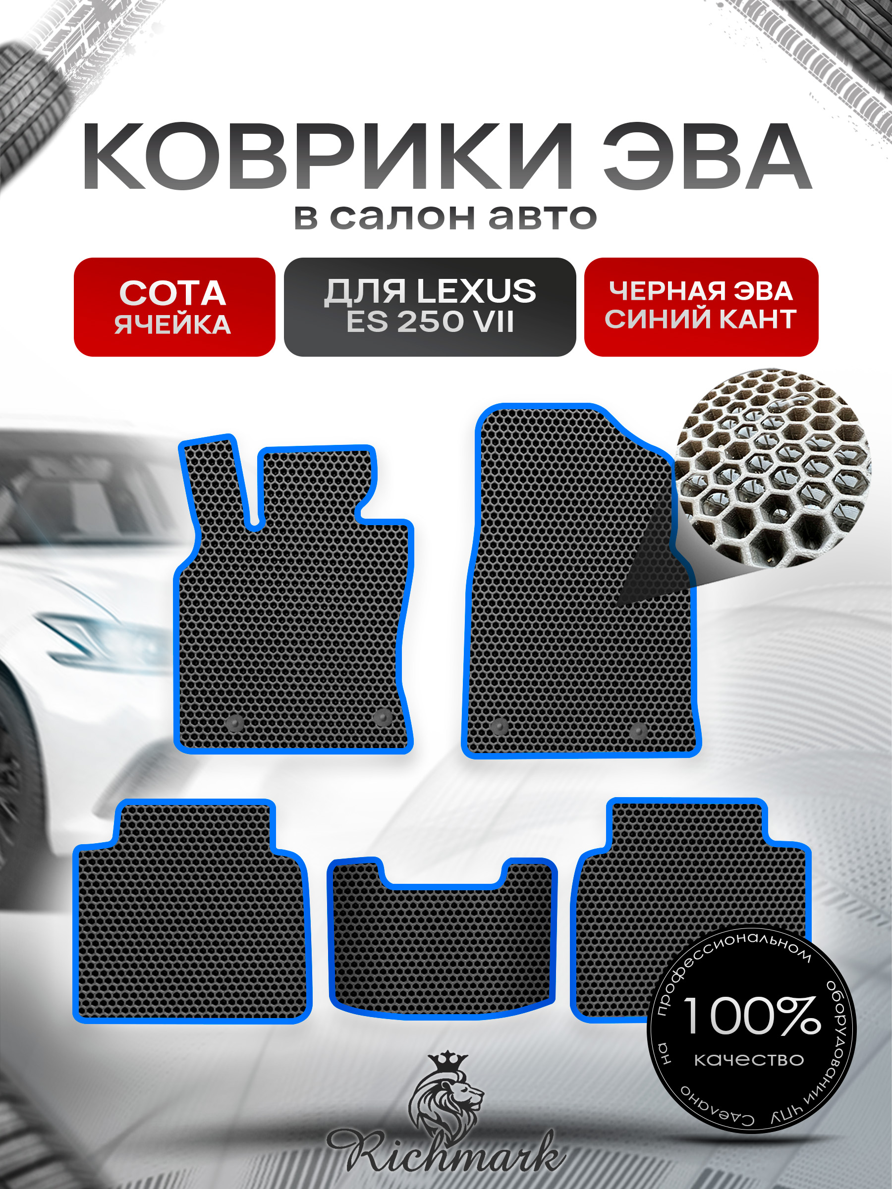 Коврики ЭВА СОТА для автомобиля Lexus ES 250 VII 2018+ / Лексус ЕС 250-7 Чёрный С Синим Кантом. Ричмарк — фото 1