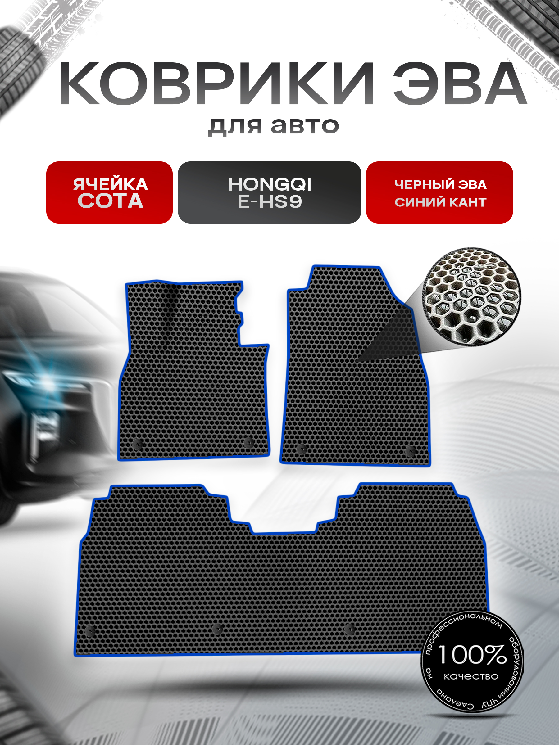 Коврики ЭВА СОТА для авто Hongqi E-HS9 / Хонгки Е-HC9 2020+ Чёрный с Синим кантом. Ричмарк — фото 1