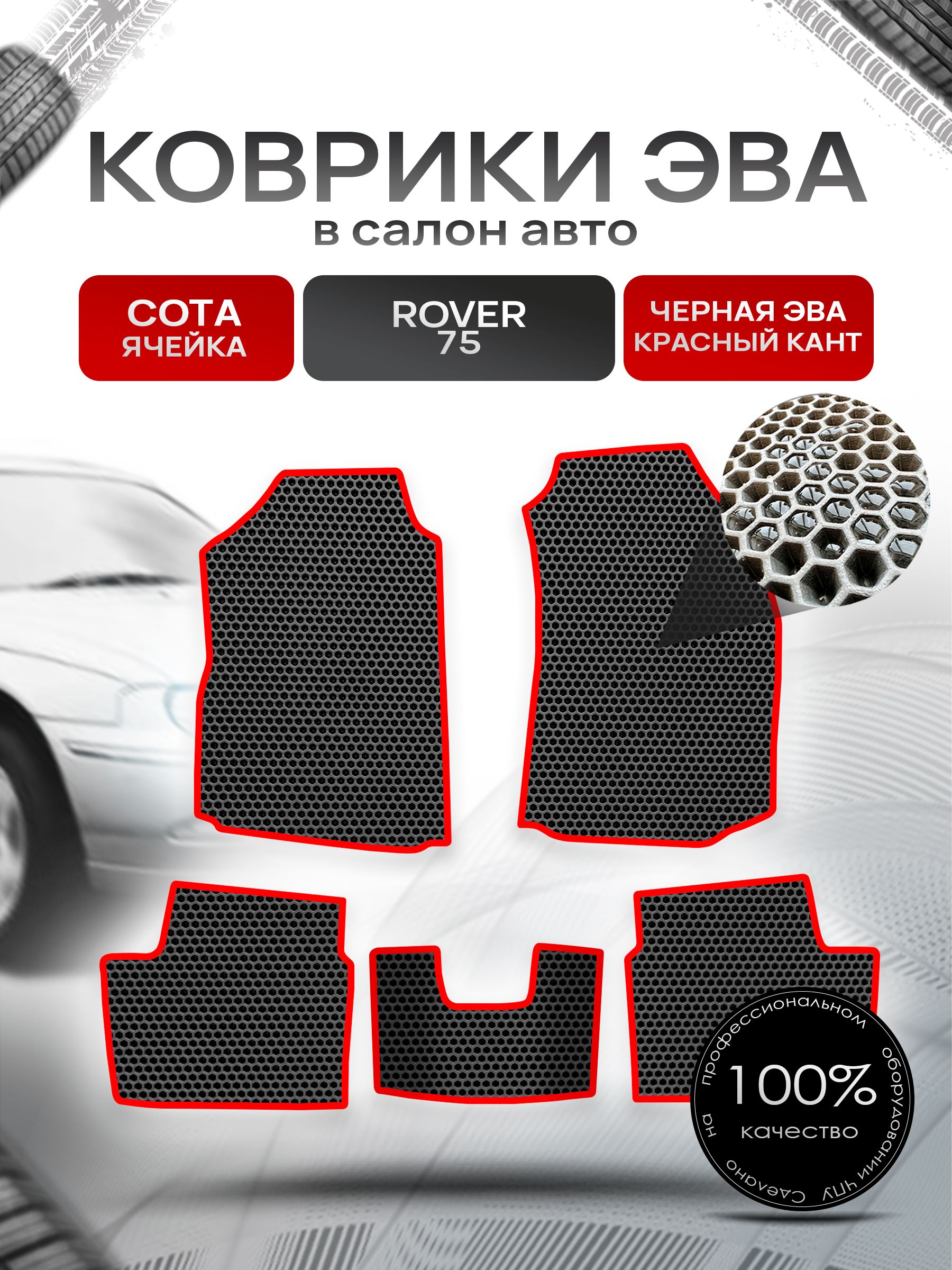 Коврики ЭВА СОТА для авто Ровер 75 / Rover 75 1999 - 2005 Чёрный С Красным Кантом. Ричмарк — фото 1